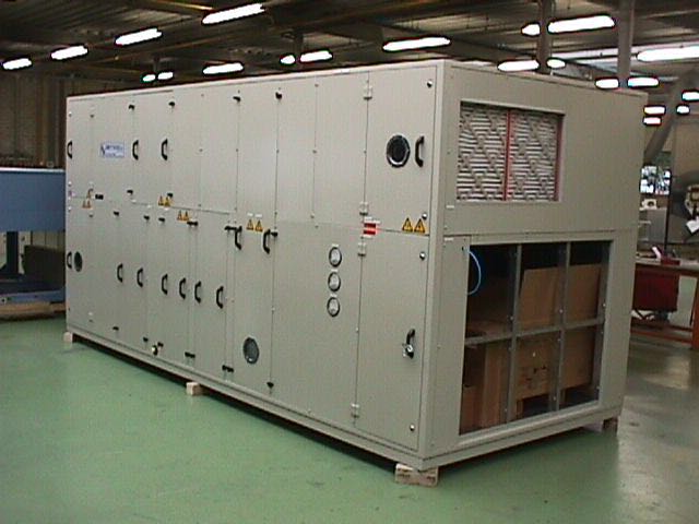 �D݆����͑��F��