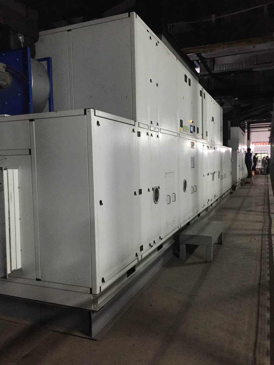 �D݆����͑��F��